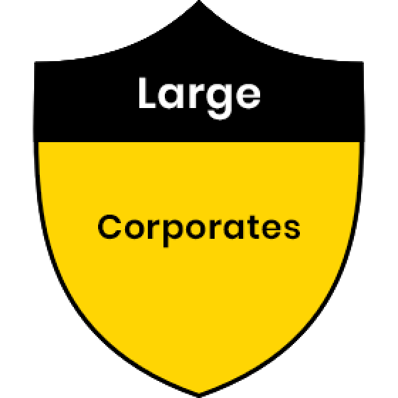 Large Corporates