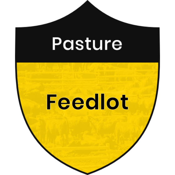 Pasture Feedlot